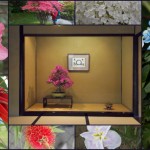 Bonsai i kwiaty Japonii